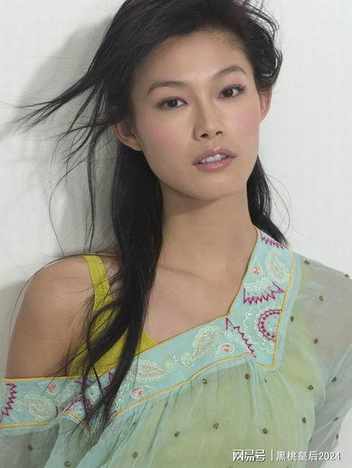 曾的明星,揭秘明星曾的辉煌历程