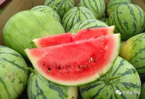 荔枝娱乐圈吃瓜爆料